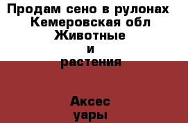 Продам сено в рулонах - Кемеровская обл. Животные и растения » Аксесcуары и товары для животных   . Кемеровская обл.